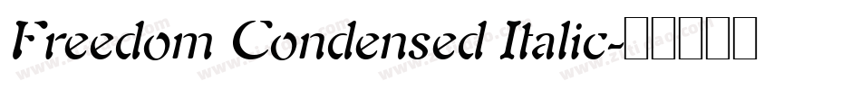 Freedom Condensed Italic字体转换